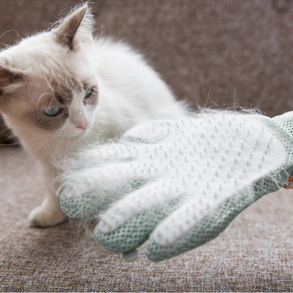Purrfect Pet Pampering Glove - Hair Removal and Massage Magic!