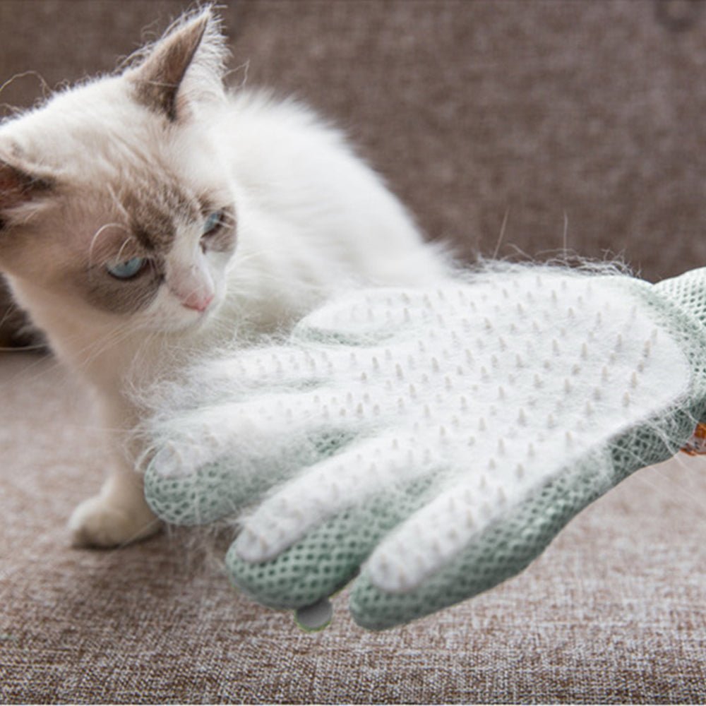 Purrfect Pet Pampering Glove - Hair Removal and Massage Magic! - Clean FURever - Animals & Pet Supplies